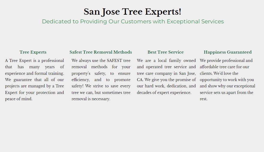 San Jose Tree Service Pros