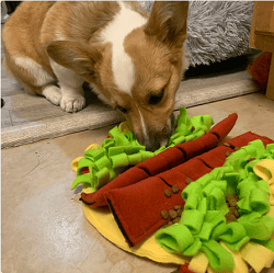AliExpress Dog Snuffle Mat Slow Feeder Mat Taco Shape Mat