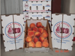 Peaches quality of our fruit C & R Farms