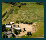 Wonderful Place for Events Venue Rental Weddings, Corporate Meet