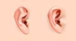 dynamiclinic