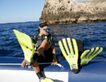 supply underwater equipment to the diving industry as well as des