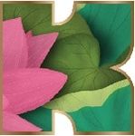 Kapiva-Modern Ayurvedic Nutrition live consciously