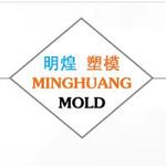Home appliance plastic injection mould