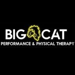 bigcatperformancephysicaltherapy