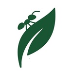Pest control service