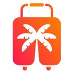 Airline ticket
