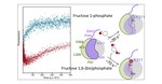 Substrate Specificity Modification