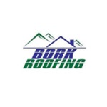 Boise Roofing companies