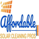 solar panel cleaning service