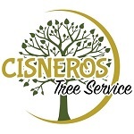 Tree Removal