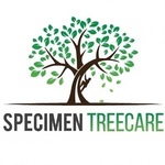 Tree care 