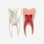 Root Canal Treatment in Islamabad