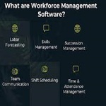 Workforce Management Software