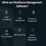 Workforce Management Software