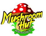 best resort in athirapally