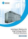 Electric Motor Management