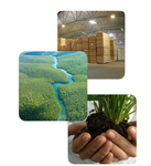 Bamboo Parquet Flooring Oceanic General Trading