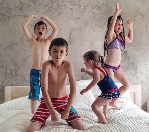 product image king Product Finder